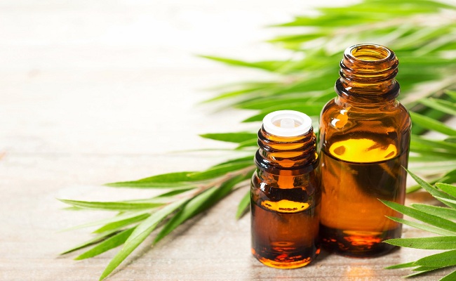 tea-tree-essential-oil-for-herpes