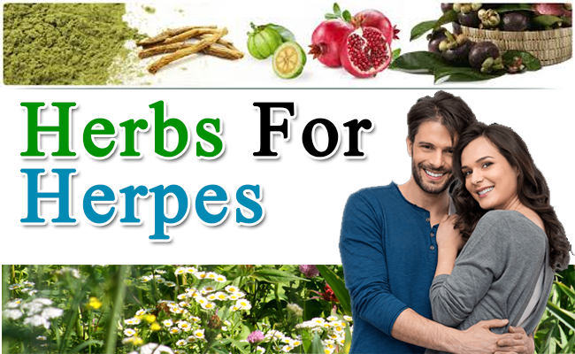 herbs for herpes